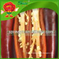 Long Shaped Chilli Pepper Best Fresh Pepper for Sale